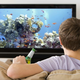 Image for article titled Viewer Prepared To Believe Whatever Documentary Tells Him About Coral Reefs